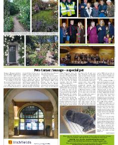 Suburb News Edition 137 Winter 2018 – 2019 - Page 12