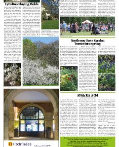 Suburb News Edition 134 Spring 2018 – Page 12