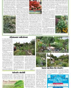 Suburb News Edition 138 Spring 2019 – Page 11