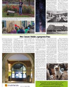 Suburb News Edition 136 Autumn 2018 – Page 12
