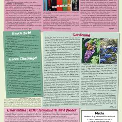 Suburb News Edition 142 Summer 2020 – Page 7