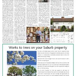 Suburb News Edition 142 Summer 2020 – Page 9