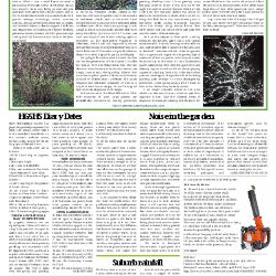 Suburb News Edition 141 Winter 2019 – 2020 - Page 11