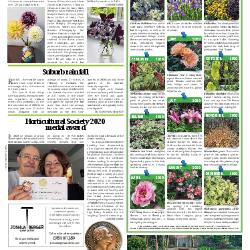 Suburb News Edition 144 2020 - Page 11