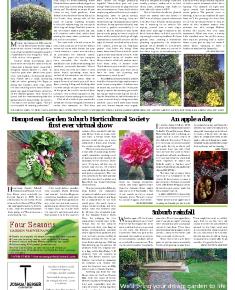 Suburb News Edition 143 Summer 2020 – Page 11