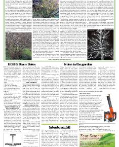 Suburb News Edition 141 Winter 2019 – 2020 - Page 11