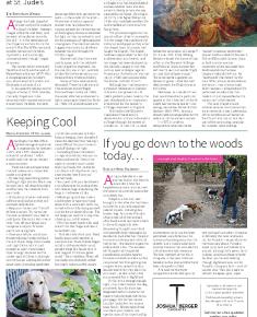 Suburb News Edition 146 2021 – Page 19