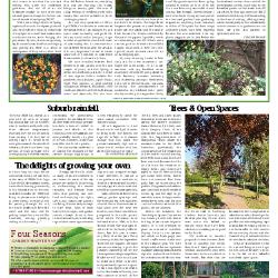 Suburb News Edition 142 Summer 2020 – Page 11