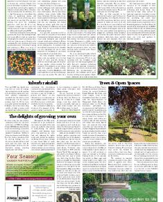 Suburb News Edition 142 Summer 2020 – Page 11