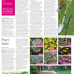 Suburb News Edition 146 2021 – Page 15