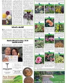 Suburb News Edition 144 2020 - Page 11