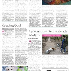 Suburb News Edition 146 2021 – Page 19