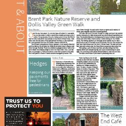 Suburb News Edition 147 2021 – Page 18
