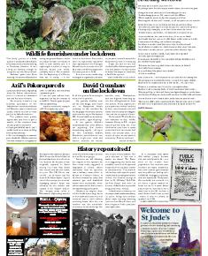 Suburb News Edition 142 Summer 2020 – Page 4