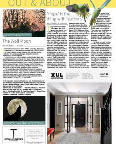 Suburb News Edition 149 2022 – Page 7