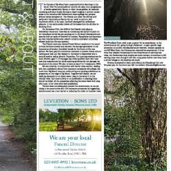 Suburb News Edition 148 2021 – Page 22