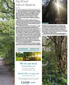 Suburb News Edition 148 2021 – Page 22