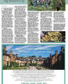 Suburb News Edition 152 Winter 2022 – Page 7