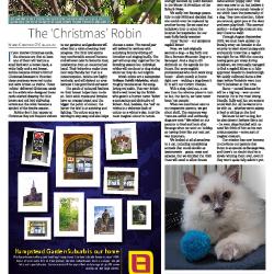 Suburb News Edition 148 2021 – Page 28