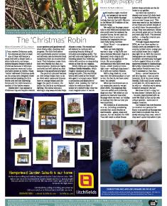 Suburb News Edition 148 2021 – Page 28