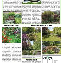 Suburb News Edition 130 Spring 2017 – Page 11