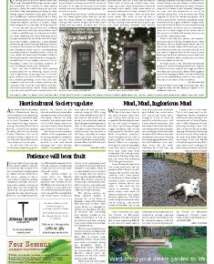 Suburb News Edition 145 2021 – Page 11