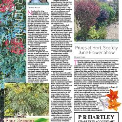 Suburb News Edition 154 Summer 2023 – Page 22