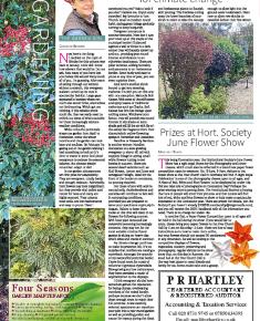 Suburb News Edition 154 Summer 2023 – Page 22