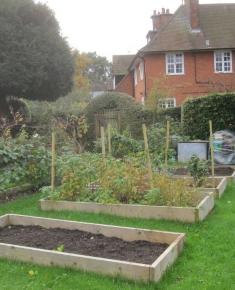 Allotment near the Orchard