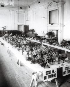 1911 Flower/Garden Show