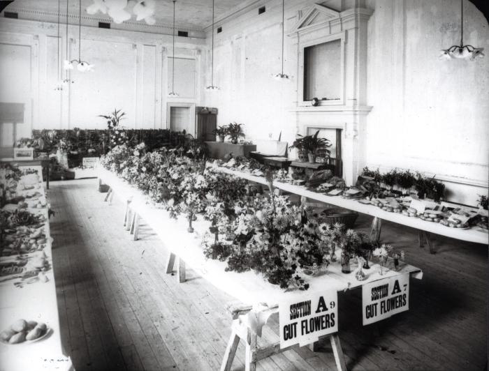 1911 Flower/Garden Show