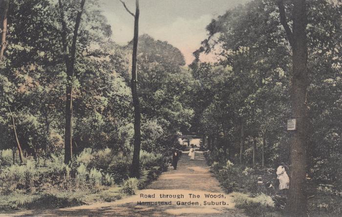 The Woods c.1916