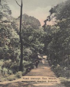 The Woods c.1916