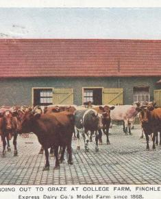 Suburb Environs c1906