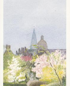 Modern cards