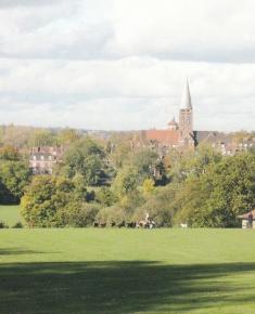 Modern cards (View from the Heath Extension)