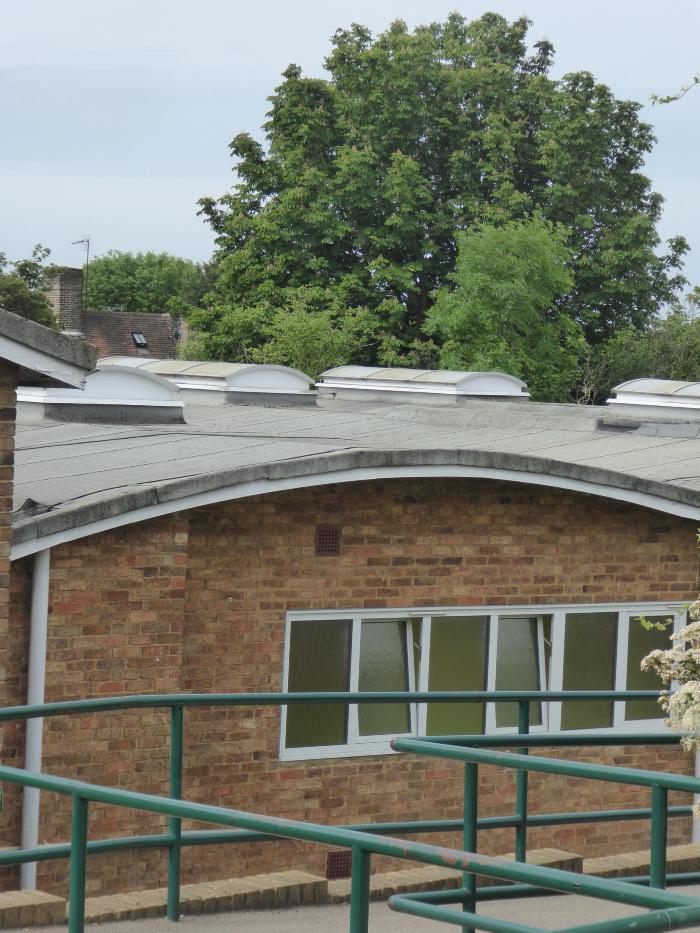 Junior school buildings detail showing skylights 