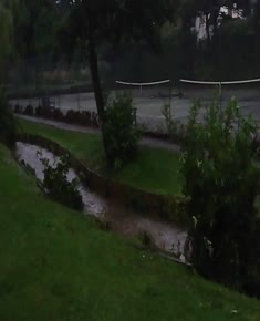 Receding waters of Mutton Brook