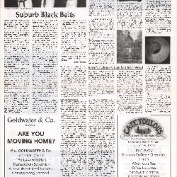 Suburb News Edition 52 Summer 1996 - Page 3