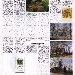 Suburb News Edition 60 Summer 1998 - Page 6