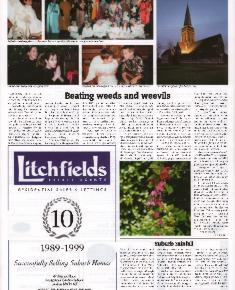 Suburb News Edition 66 Winter 1999-2000 - Page 12
