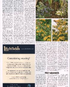 Suburb News Edition 83 Spring 2004 - Page 12