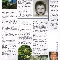 Suburb News Edition 80 Summer 2003 - page 7