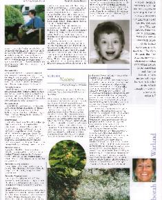Suburb News Edition 80 Summer 2003 - page 7