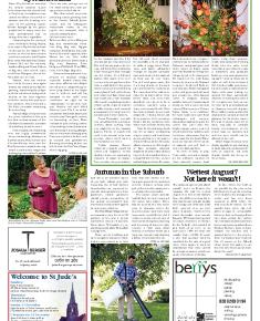 Suburb News Edition 120 Autumn 2014 – Page 11