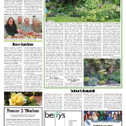 Suburb News Edition 122 Spring 2015 - Page 11