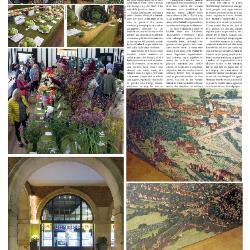 Suburb News Edition 132 Autumn 2017 – Page 12