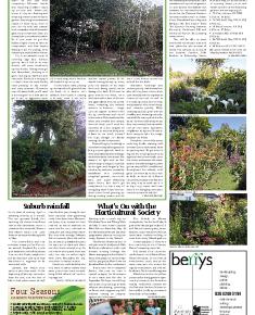 Suburb News Edition 126 Spring 2016 – Page 11