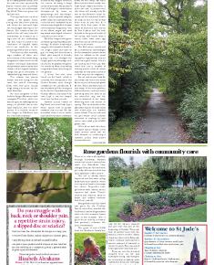Suburb News Edition 124 Autumn 2015 – Page 8