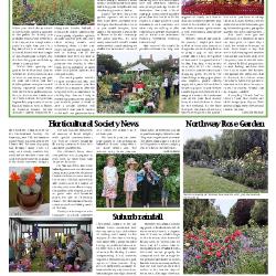 Suburb News Edition 131 Summer 2017 – Page 11